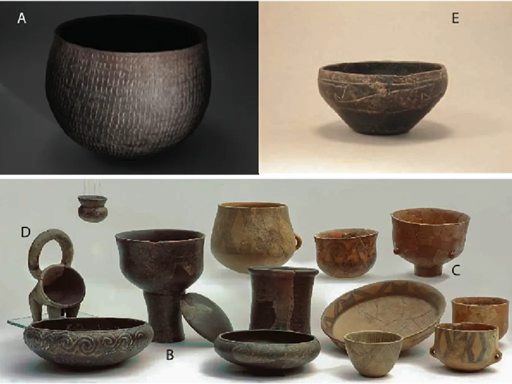 Neolithic Sea Voyages: How Ancient Mariners Shaped the Mediterranean - Impressed ware from Dalmatia